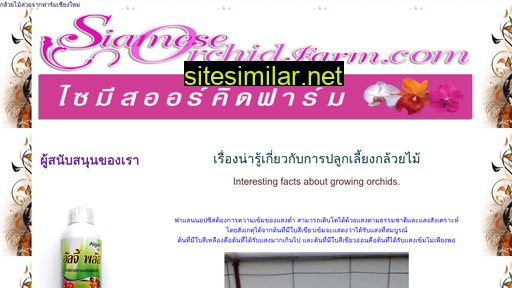 siameseorchidfarm.com alternative sites