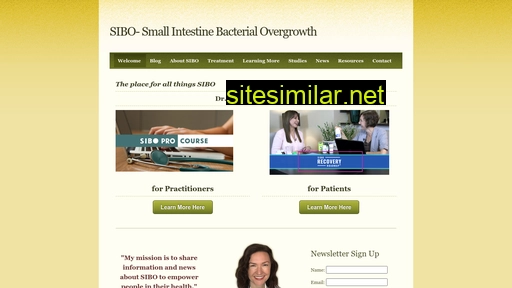 siboinfo.com alternative sites