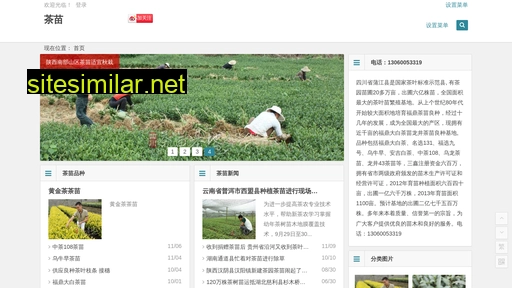 sichuanchaye.com alternative sites
