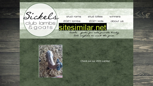 sickelsclublambs.com alternative sites