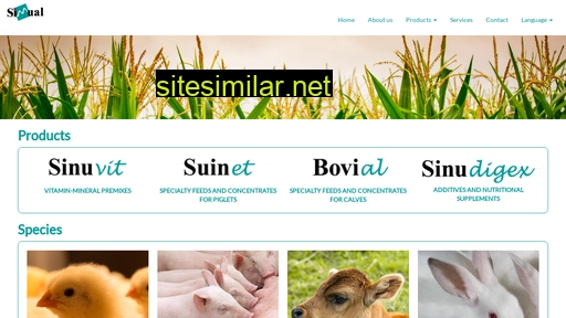 sinual.com alternative sites
