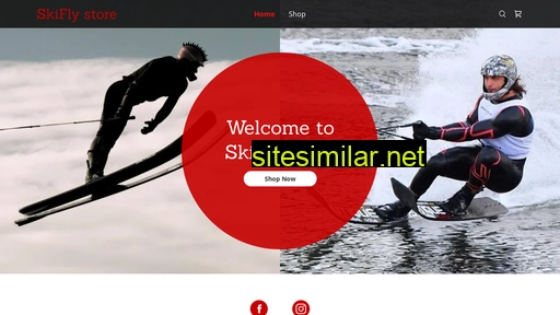 skifly.com alternative sites