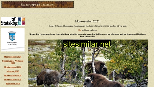 skoggruppa.com alternative sites