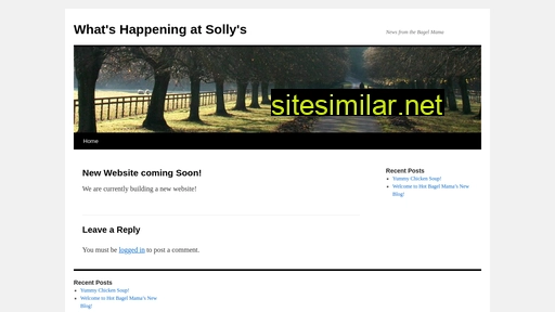 sollysbagelry.com alternative sites