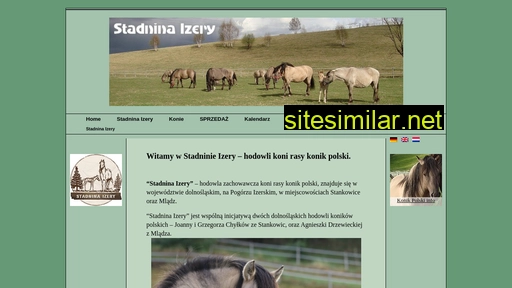 stadninaizery.com alternative sites