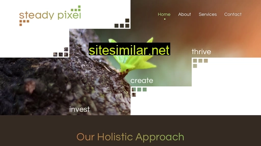 steadypixel.com alternative sites