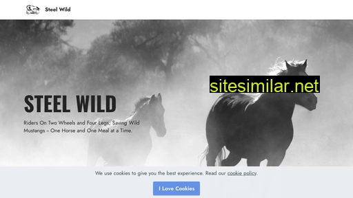 steelwild.com alternative sites