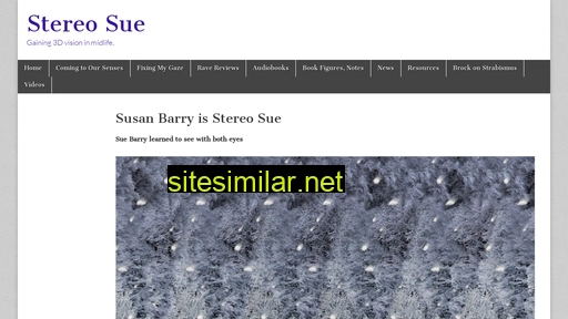 Stereosue similar sites