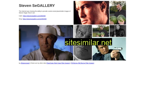 stevensegallery.com alternative sites