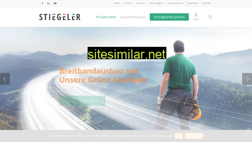 stiegeler.com alternative sites