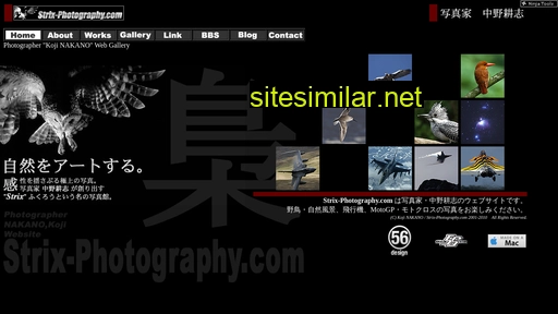 Strix-photography similar sites