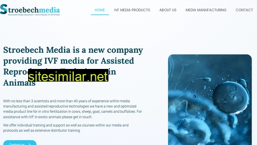 Stroebech-media similar sites