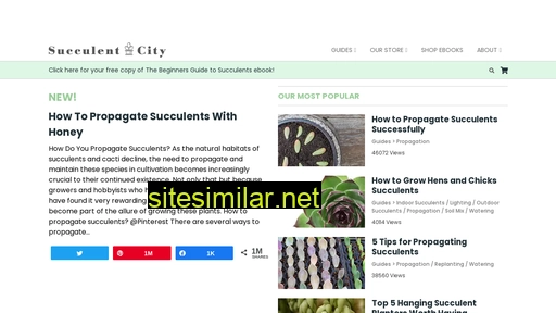 succulentcity.com alternative sites