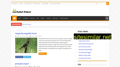 sudutkebun.com alternative sites