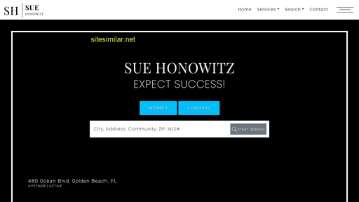 suehonowitz.com alternative sites