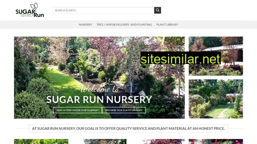 sugarrunnursery.com alternative sites
