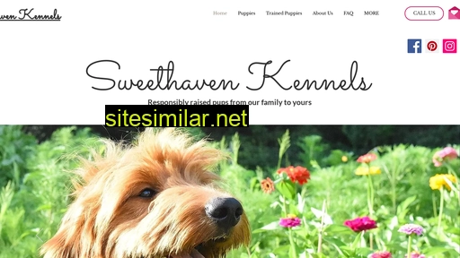 sweethavenkennels.com alternative sites