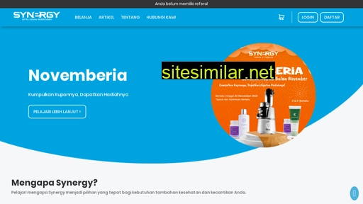 synergybizcenter.com alternative sites