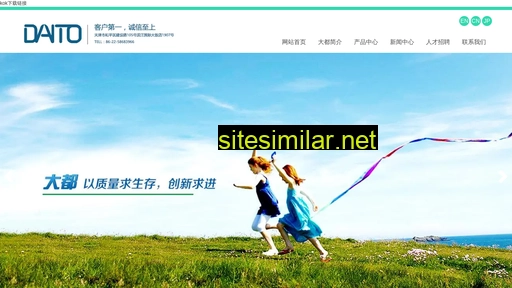 szjiding.com alternative sites
