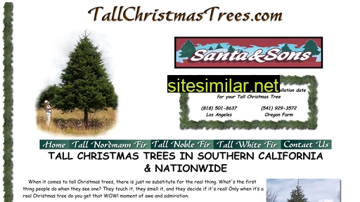 tallchristmastrees.com alternative sites