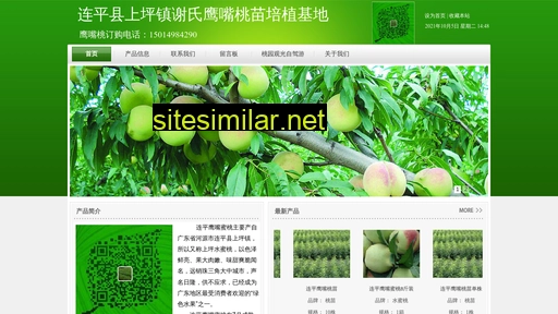 taolizhixiang.com alternative sites