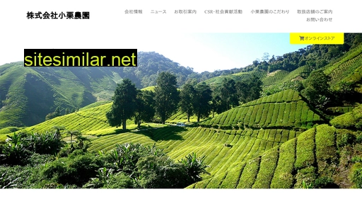 Tea-farm similar sites