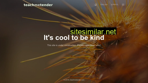 teachmetender.com alternative sites