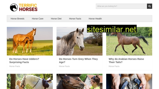 Terrific-horses similar sites