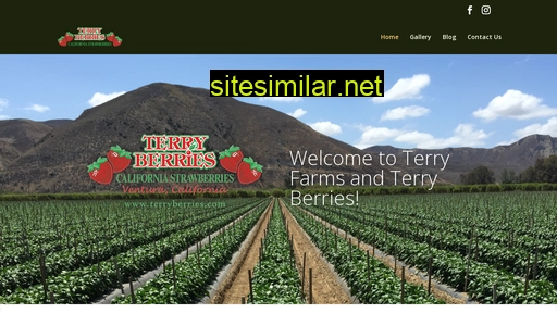 Terryberries similar sites