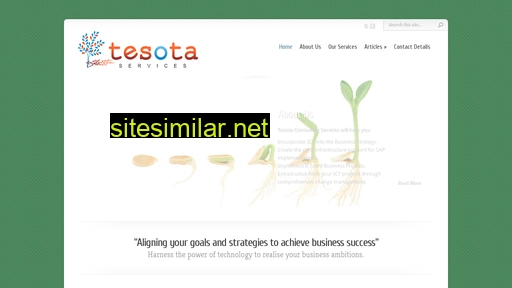 tesotaservices.com alternative sites