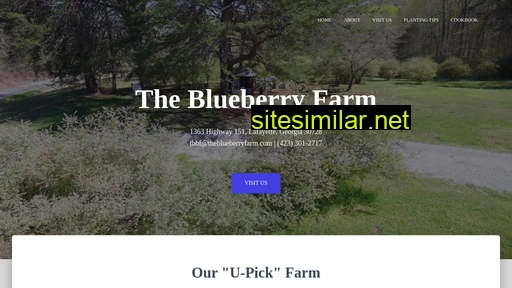 theblueberryfarm.com alternative sites