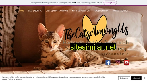 thecatsamongus.wixsite.com alternative sites
