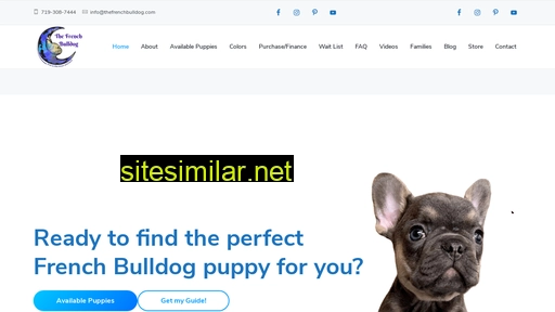 thefrenchbulldog.com alternative sites