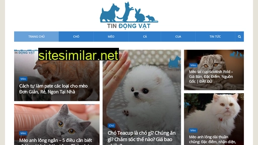 tindongvat.com alternative sites