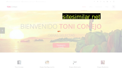 toniconejo.com alternative sites