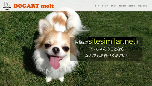 Topart-dogs similar sites