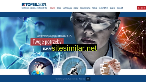 topsilglobal.com alternative sites