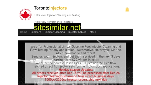 Torontoinjectors similar sites