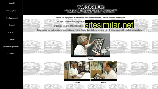 toroslab.com alternative sites