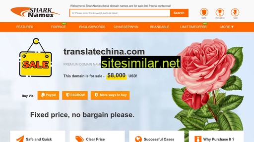 translatechina.com alternative sites