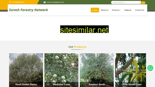 treeseedsindia.com alternative sites