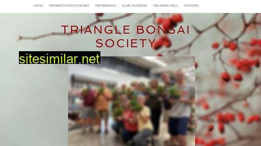 trianglebonsai.com alternative sites