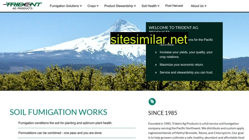 tridentag.com alternative sites