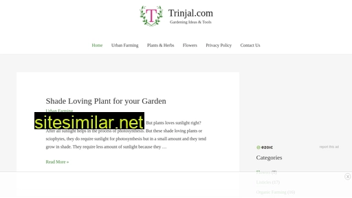 trinjal.com alternative sites