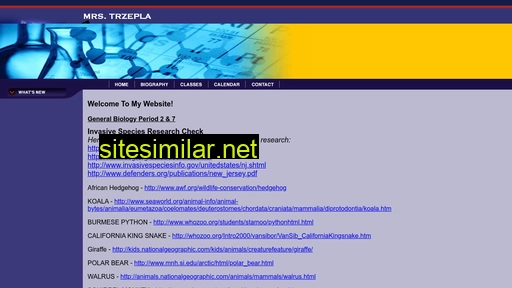 trzepla.com alternative sites
