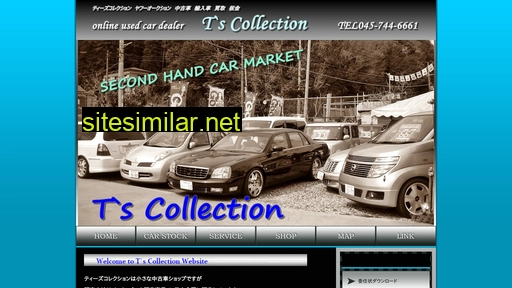 ts-collect.com alternative sites