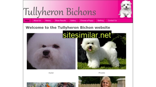 tullyheron-bichonfrise.com alternative sites