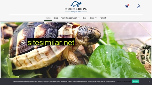 turtlespl.com alternative sites