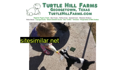 Turtlehillfarms similar sites