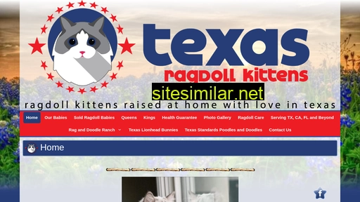 txragdollkitten.com alternative sites